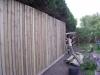 Closeboard fencing